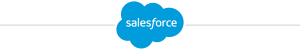 Salesforce logo with divider line.