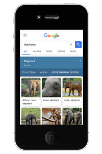 iPhone with SERP for elephants.